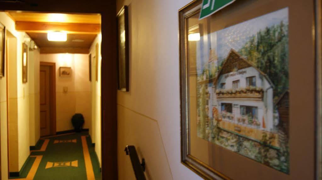 Gasthof Pension St. Wolfgang Kirchberg am Wechsel Exteriér fotografie